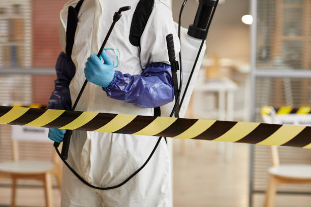 Professional Sewage Cleanup technician working in Wadsworth, IL